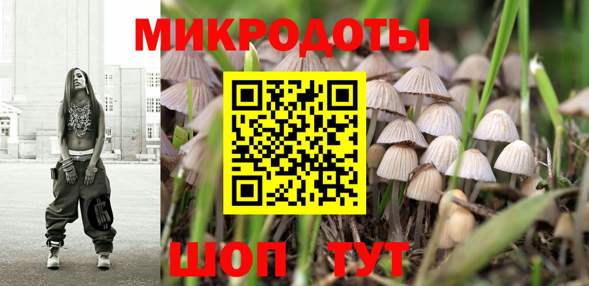 Сланцы  Псилоцибиновые грибы Psilocybe  Вход с VPN 