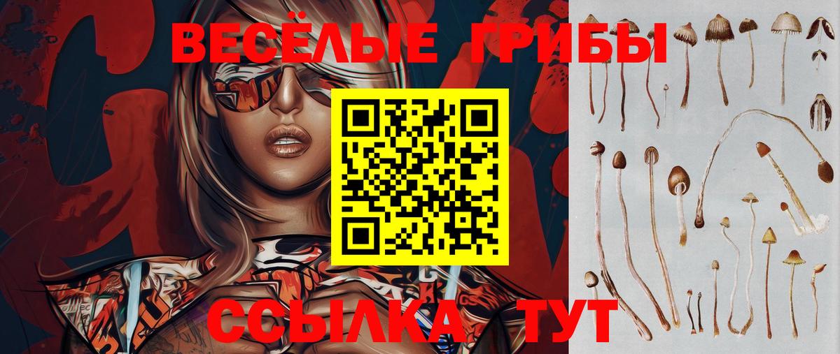 Псилоцибиновые грибы GOLDEN TEACHER Сланцы